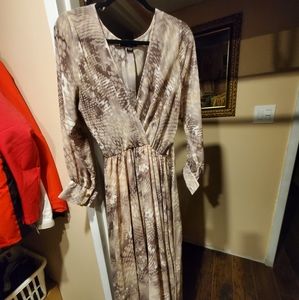 Seduction see through dress.